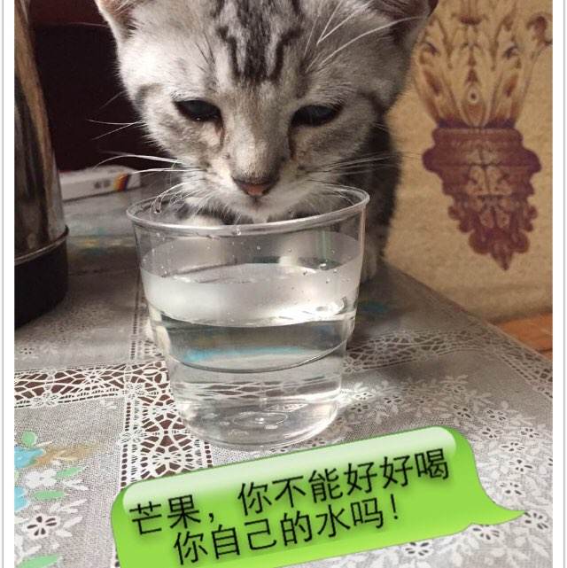 做个德外尔理工学院毕业证